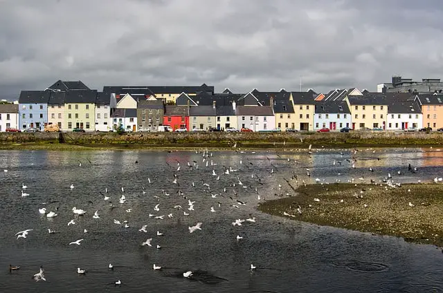 galway or limerick